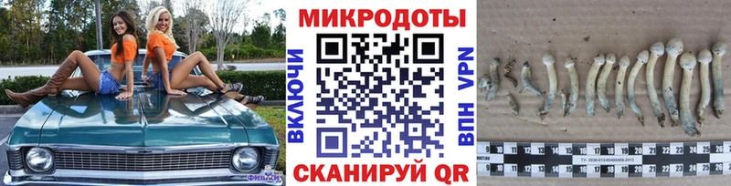 Псилоцибиновые грибы Magic Shrooms  Анадырь 